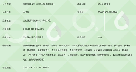 上海頂網(wǎng)移動(dòng)網(wǎng)絡(luò)信息技術(shù)服務(wù) 數(shù)字化浪潮中的技術(shù)先鋒